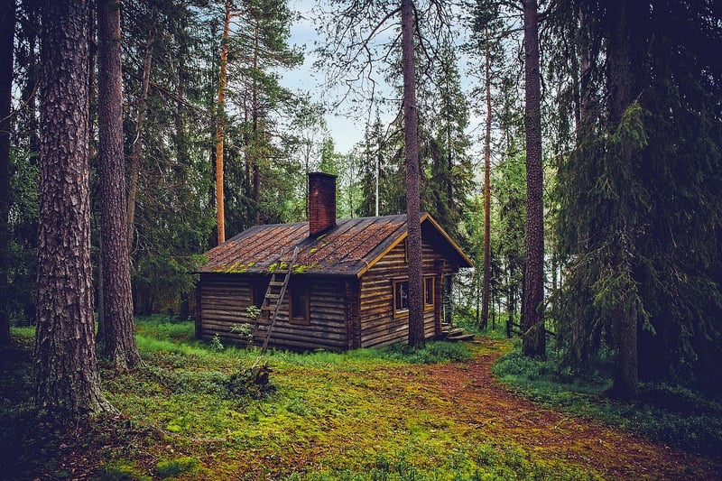 Rustic Chic House
